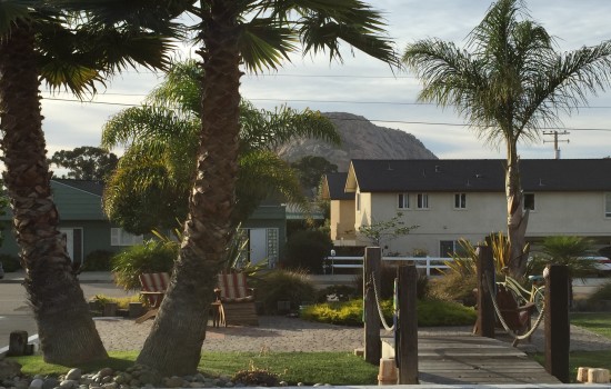 Beach Bungalow Inn & Suites - Landscaping with Palm Trees